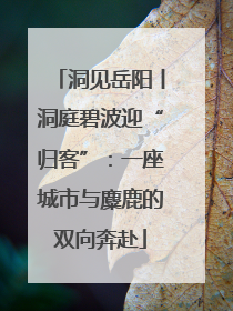 洞见岳阳丨洞庭碧波迎“归客”：一座城市与麋鹿的双向奔赴
