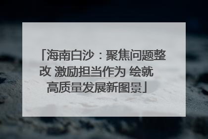 海南白沙：聚焦问题整改 激励担当作为 绘就高质量发展新图景