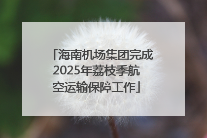 海南机场集团完成2025年荔枝季航空运输保障工作