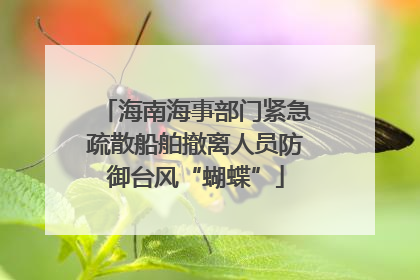 海南海事部门紧急疏散船舶撤离人员防御台风“蝴蝶”