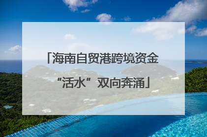 海南自贸港跨境资金“活水”双向奔涌