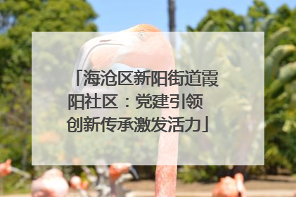 海沧区新阳街道霞阳社区：党建引领 创新传承激发活力