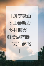 济宁微山：工会助力乡村振兴 鲜美湖产腾“云”起飞