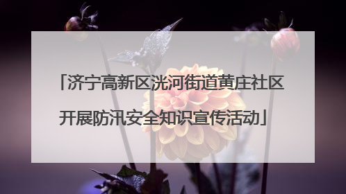 济宁高新区洸河街道黄庄社区开展防汛安全知识宣传活动
