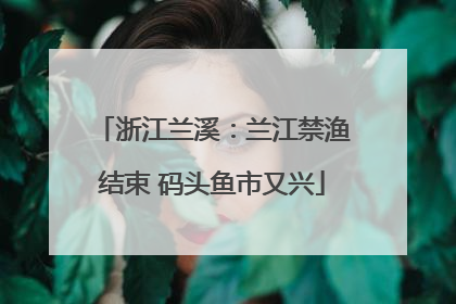 浙江兰溪：兰江禁渔结束 码头鱼市又兴