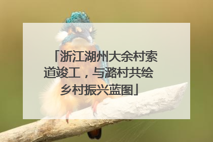 浙江湖州大余村索道竣工，与潞村共绘乡村振兴蓝图