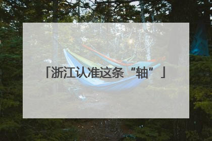 浙江认准这条“轴”