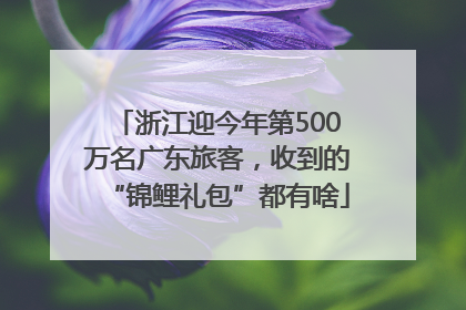 浙江迎今年第500万名广东旅客，收到的“锦鲤礼包”都有啥