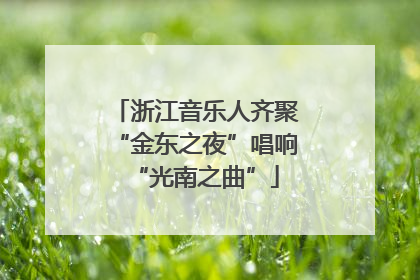 浙江音乐人齐聚“金东之夜”唱响“光南之曲”
