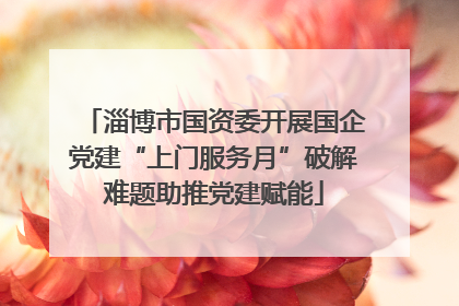 淄博市国资委开展国企党建“上门服务月”破解难题助推党建赋能