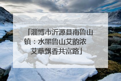 淄博市沂源县南鲁山镇：水墨鲁山艾韵浓 艾草飘香共富路