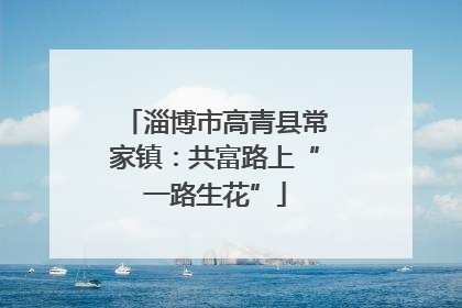淄博市高青县常家镇：共富路上“一路生花”
