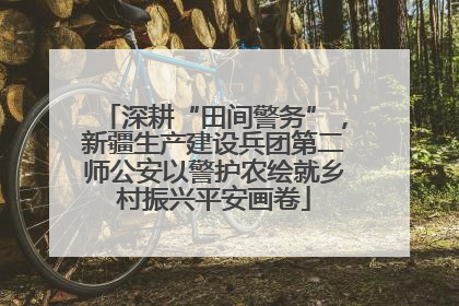 深耕“田间警务”，新疆生产建设兵团第二师公安以警护农绘就乡村振兴平安画卷