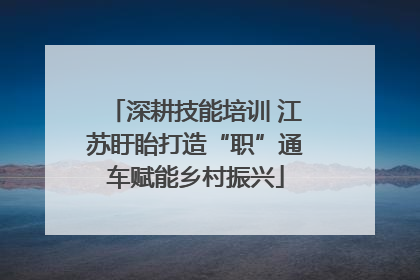 深耕技能培训 江苏盱眙打造“职”通车赋能乡村振兴