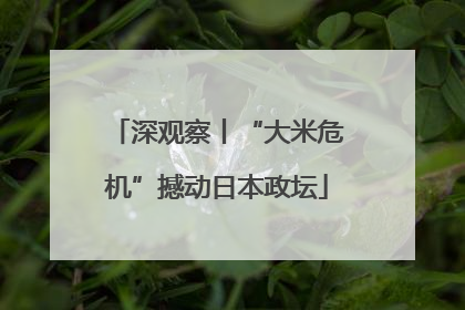 深观察丨“大米危机”撼动日本政坛