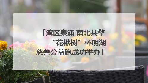 湾区泉涌·南北共擎——“花楸树”杯明湖慈善公益跑成功举办