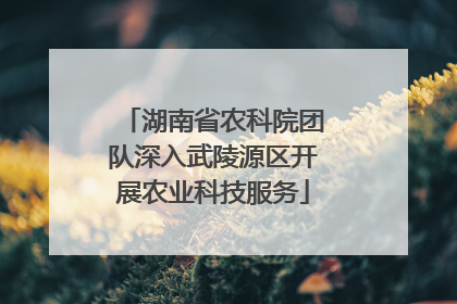 湖南省农科院团队深入武陵源区开展农业科技服务