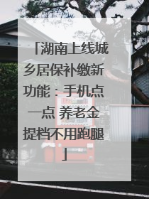 湖南上线城乡居保补缴新功能：手机点一点 养老金提档不用跑腿