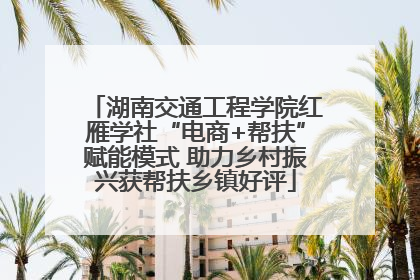 湖南交通工程学院红雁学社“电商+帮扶”赋能模式 助力乡村振兴获帮扶乡镇好评