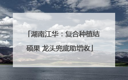 湖南江华：复合种植结硕果 龙头兜底助增收