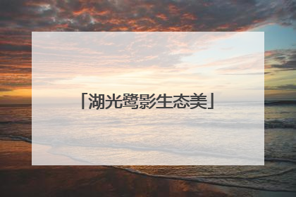 湖光鹭影生态美