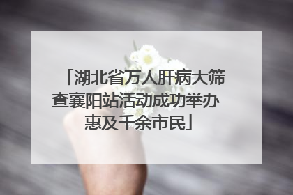湖北省万人肝病大筛查襄阳站活动成功举办 惠及千余市民