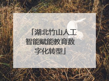 湖北竹山人工智能赋能教育数字化转型