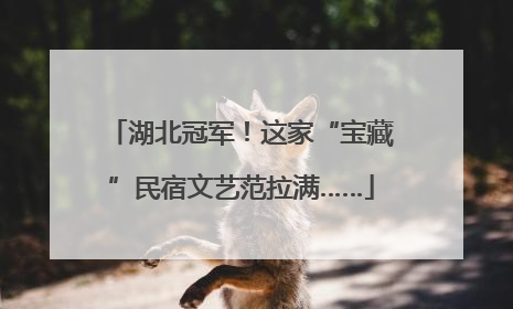 湖北冠军！这家“宝藏”民宿文艺范拉满……