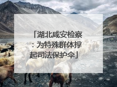 湖北咸安检察：为特殊群体撑起司法保护伞