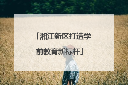 湘江新区打造学前教育新标杆