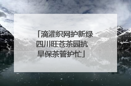滴灌织网护新绿 四川旺苍茶园抗旱保茶管护忙