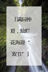 满园仲夏，灿烂花海迎“双节”