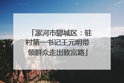 漯河市郾城区：驻村第一书记王元明带领群众走出致富路
