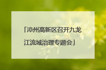 漳州高新区召开九龙江流域治理专题会