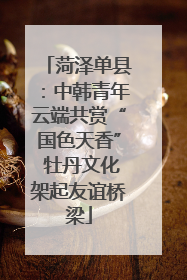 菏泽单县：中韩青年云端共赏“国色天香” 牡丹文化架起友谊桥梁