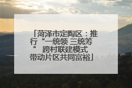 菏泽市定陶区：推行“一统领 三统筹” 跨村联建模式 带动片区共同富裕