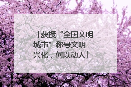 获授“全国文明城市”称号文明 兴化，何以动人