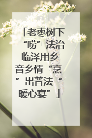 老枣树下“唠”法治 临泽用乡音乡情“烹”出普法“暖心宴”