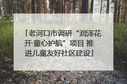 老河口市调研“润泽花开·童心护航”项目 推进儿童友好社区建设