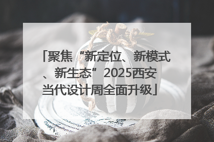 聚焦“新定位、新模式、新生态”2025西安当代设计周全面升级