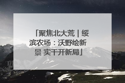 聚焦北大荒｜绥滨农场：沃野绘新景 实干开新局