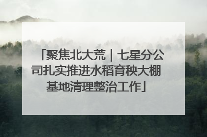聚焦北大荒｜七星分公司扎实推进水稻育秧大棚基地清理整治工作