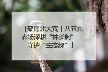 聚焦北大荒｜八五九农场深耕“林长制” 守护“生态绿”