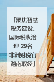 聚焦智慧税务建设、国际税收治理 29名非洲财税官湖南取经