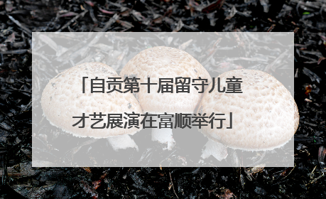 自贡第十届留守儿童才艺展演在富顺举行