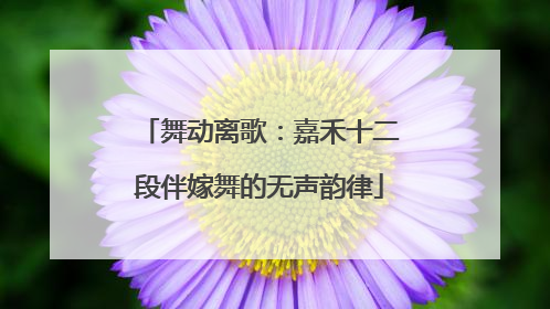 舞动离歌：嘉禾十二段伴嫁舞的无声韵律