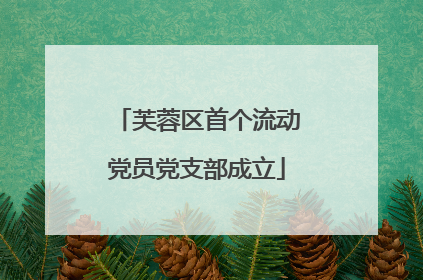 芙蓉区首个流动党员党支部成立