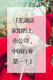 芜湖这家知名上市公司，中国行业第一！
