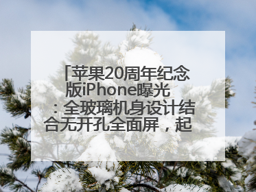 苹果20周年纪念版iPhone曝光：全玻璃机身设计结合无开孔全面屏，起售价或达1.45万人民币