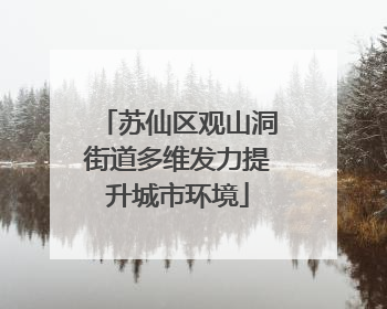 苏仙区观山洞街道多维发力提升城市环境